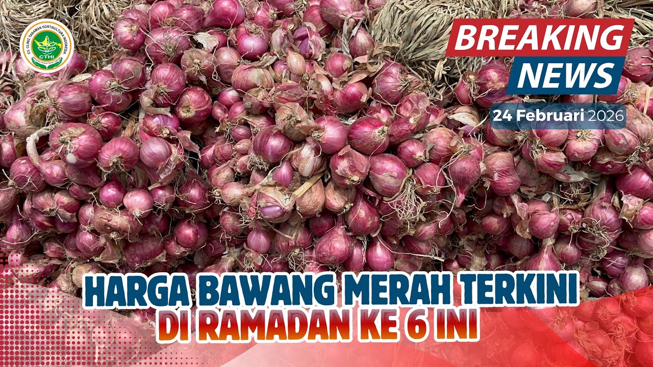 RAMADAN KE 6 PREDIKSI HARGA BAWANG MERAH DI PASAR INDUK || UPDATE HARGA BAWANG MERAH TERBARU