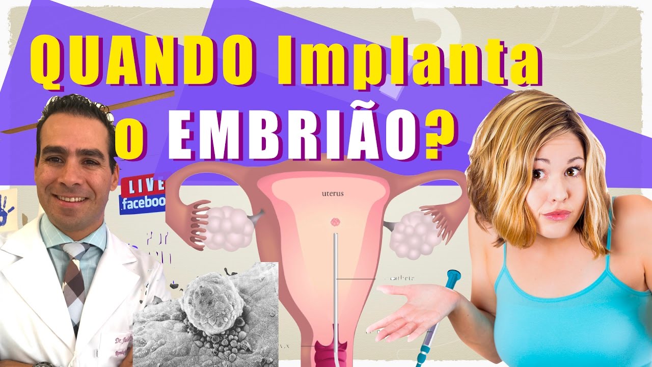 Quando implanta meu embrião após a transferência? Quando posso fazer o teste de Gravidez?