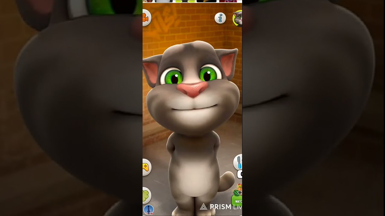 talking tom cat game live