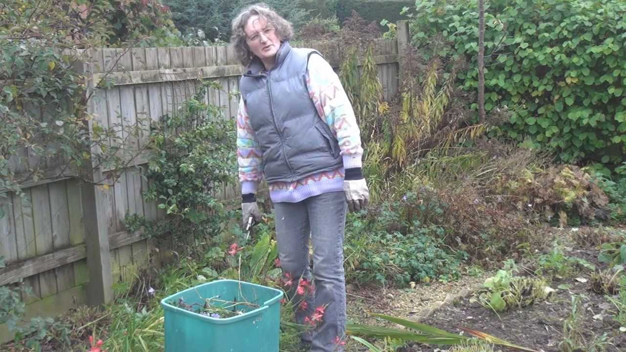 Titli's Busy Garden 2012 Week 44 - November is Rubbish