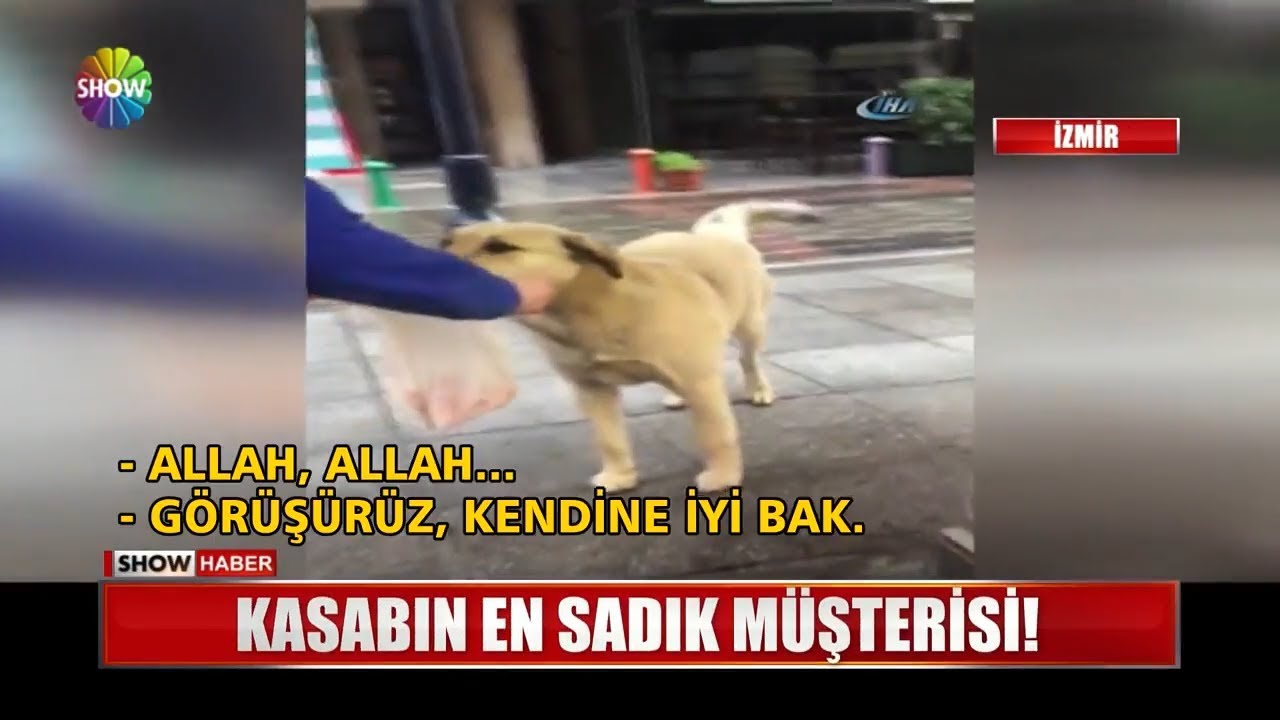 Kasabın en sadık müşterisi!