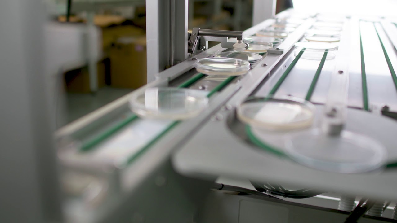 Petri Dish Filling Machine SOLO 911