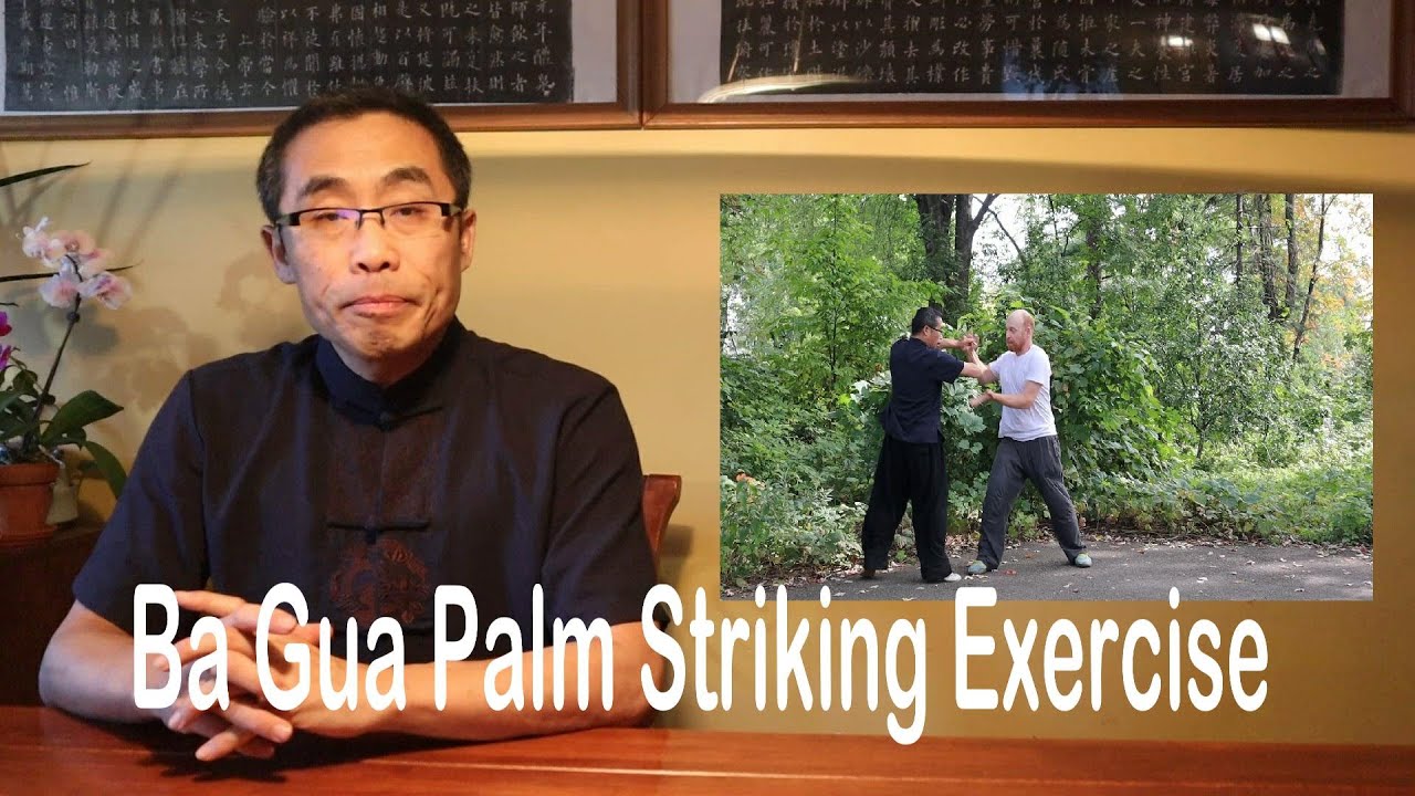 Basic Practice Teaching Series (20): Ba Gua Palm Striking Fa Jin