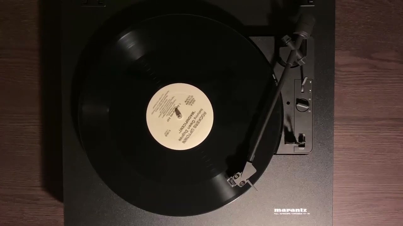 Rockers Uptown featuring Gwen Dupree - Magnificent (Ego Trip Mix)