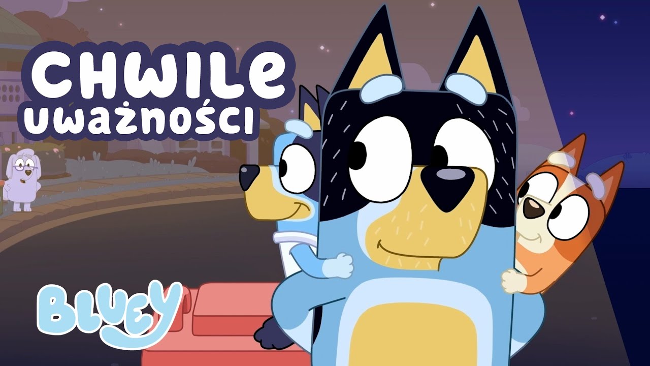 Relaks z Heelersami 😊💙 | Zrób sobie przerwę! | Blue - Oficjalny Polski Kanał