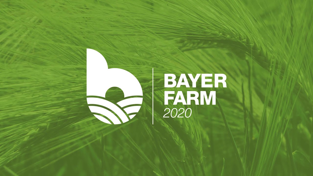 Bayer Farm 2020 - Kalászos növényvédelem