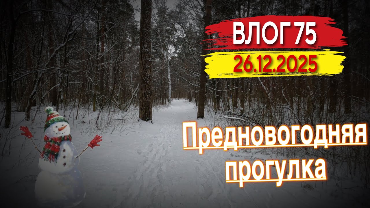 Зимняя прогулка перед новым годом. Катаюсь на автобусах. Влог 75