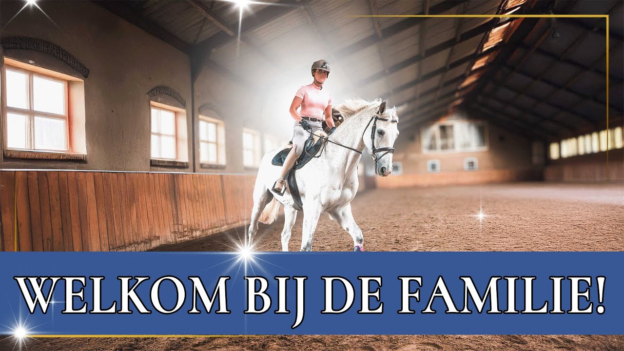 Na maanden zoeken: D&iacute;t is Benthe&rsquo;s nieuwe paard! | Crosspaard komt thuis | PaardenpraatTV