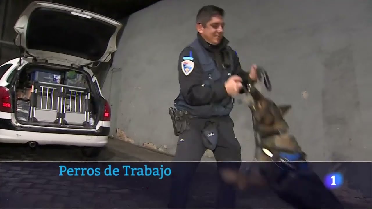 Unidad canina de Toledo