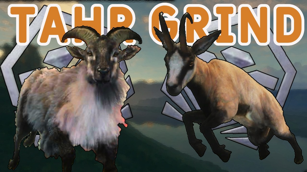 FINALLY Starting the TAHR GRIND + Diamond Chamois!!!