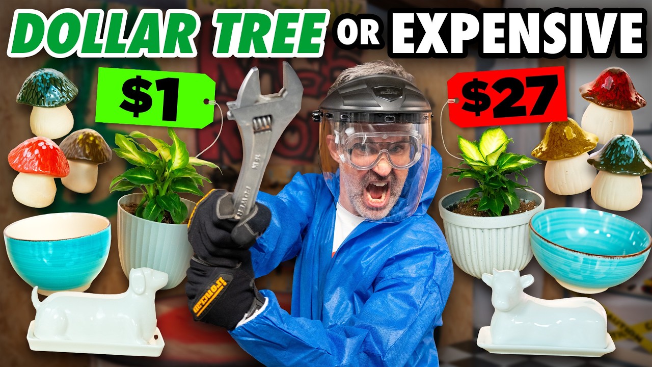 Dollar Store vs. Expensive Product Challenge
