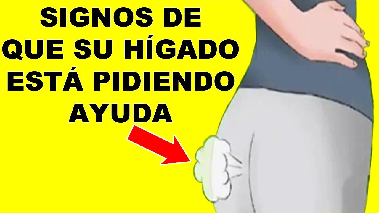 👉 13 S&iacute;ntomas De Mal Funcionamiento Del H&iacute;gado a Las Que Usted Debe Estar Atento!