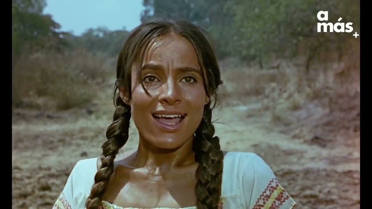 La trinchera Película Mexicana 