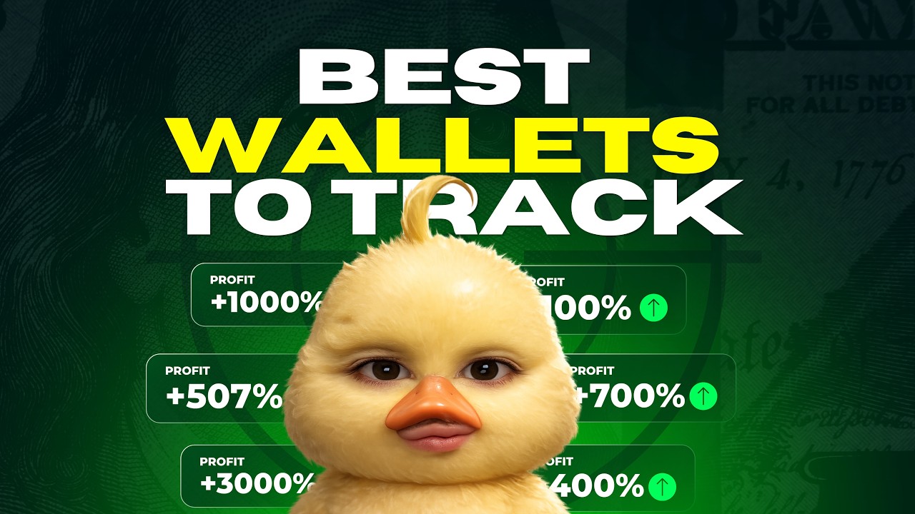 Top 100 Best Wallets To Track (Must Add)