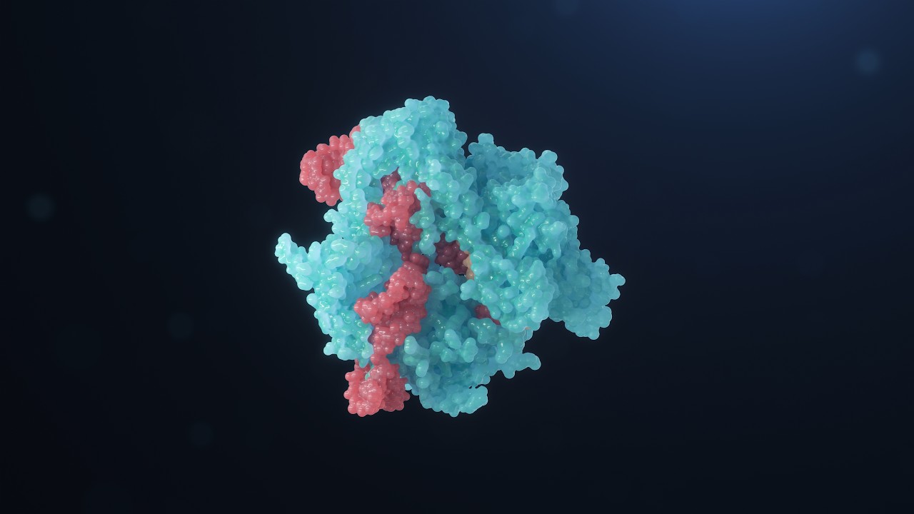 CRISPR-Cas9 Gene Editing Molecular Animation | Guide RNA & DNA Highlight Loop