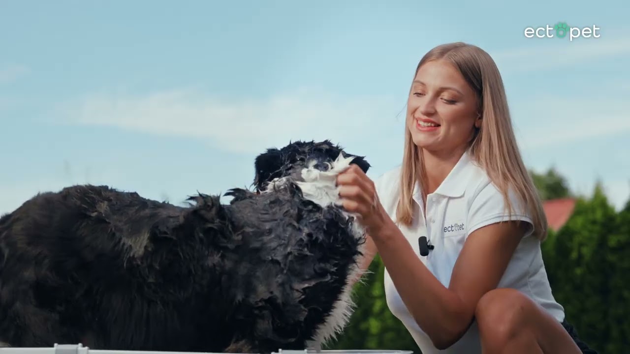 Fleas, ticks, dermal changes – ectopet clean &care – the perfect solution