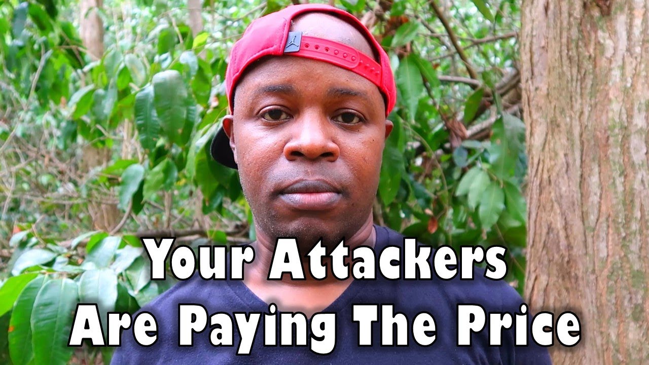 Those Who Attacked You Are Paying The Price
