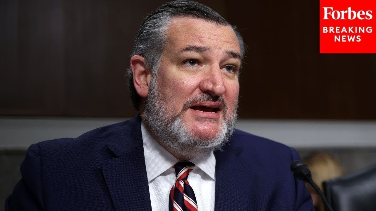 Ted Cruz Leads Senate Commerce Committee Hearing On 'Media Ownership In The Digital Age'