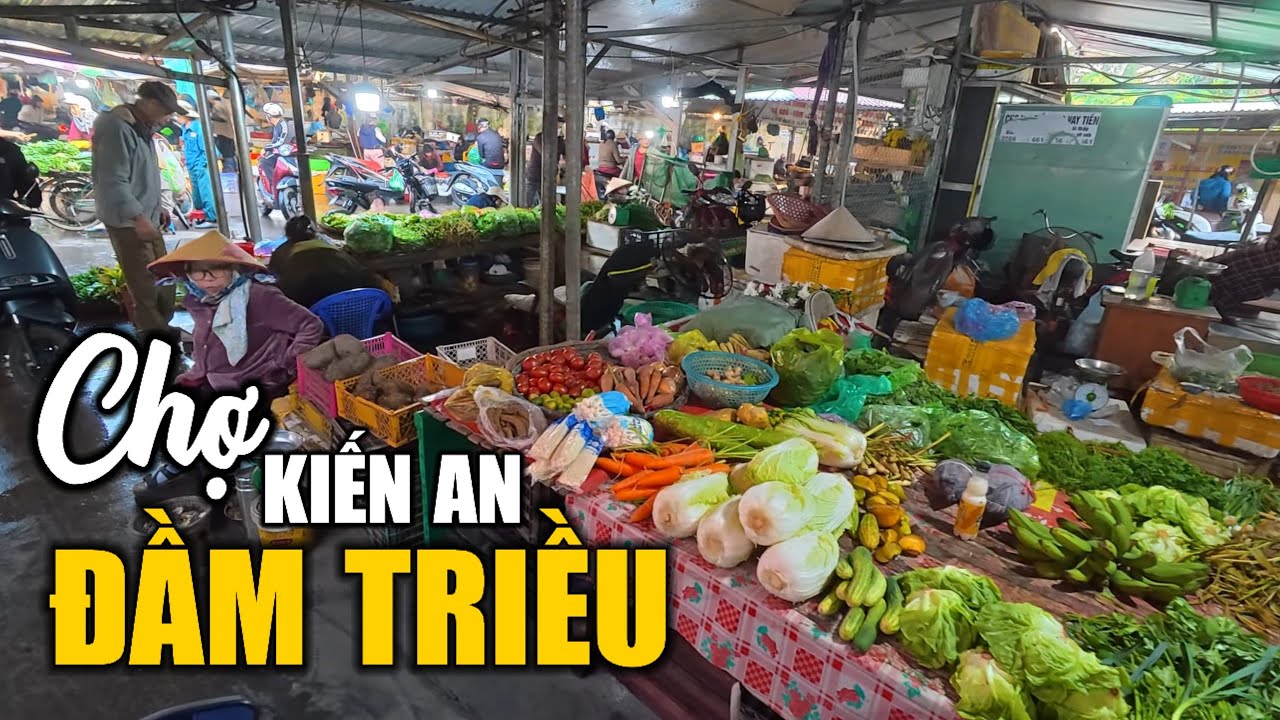 Chợ Đầm Triều - Chợ lớn & sầm uất nhất Kiến An (Hải Phòng) | 14.02.2026