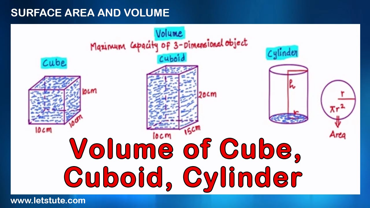Volume of Cube Cuboid and Cylinder | Surface Area and Volume | Math | LetsTute