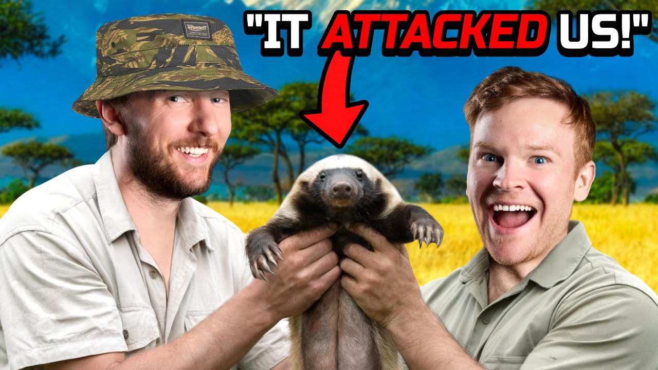 We Caught a Honey Badger 🦨 Officially Unofficially #1