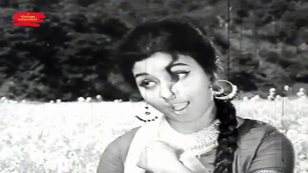 DHARTI BHI JHOOMAY MASTI MAIN PHOOLON KO CHOOMAY - SHABANA - FILM PAYEL