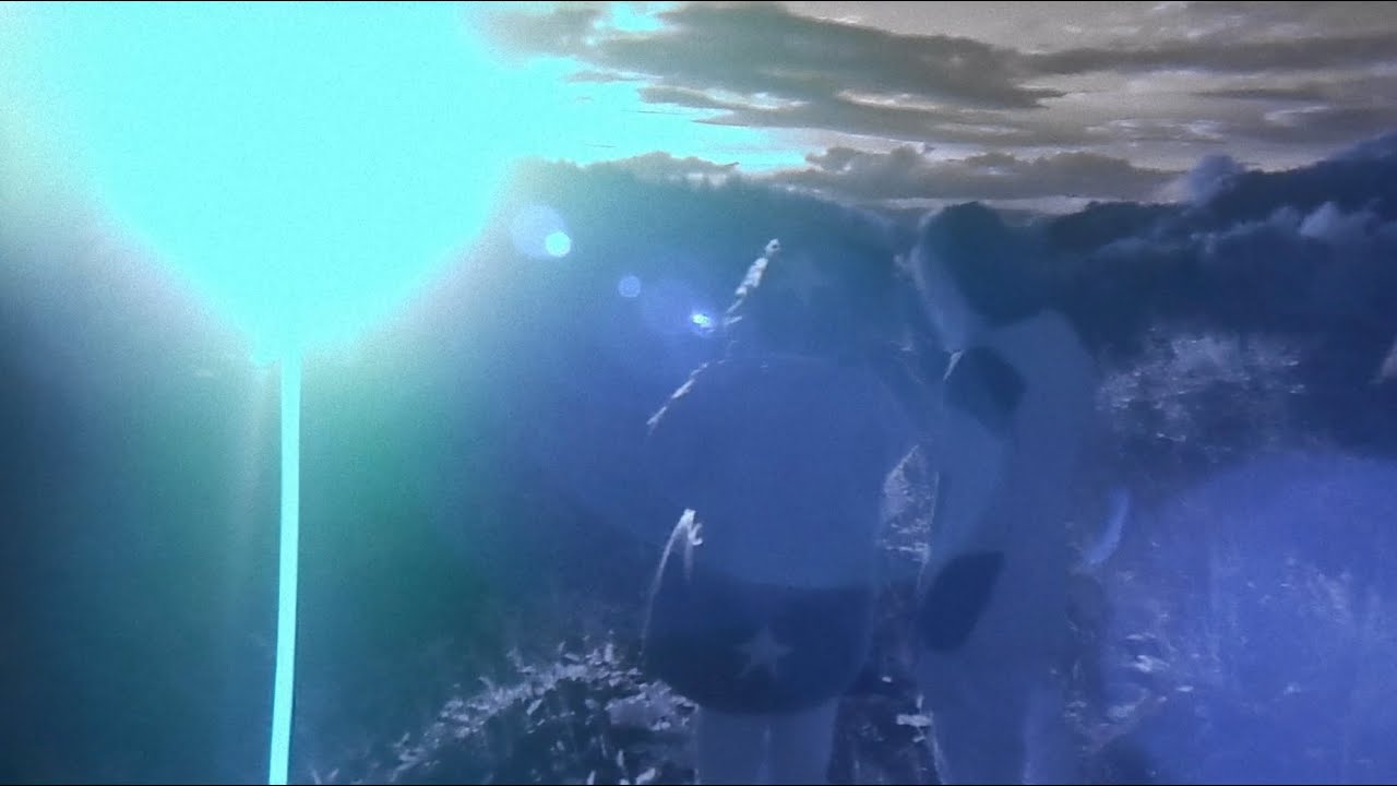 Kelora - Something Else (Official Music Video)