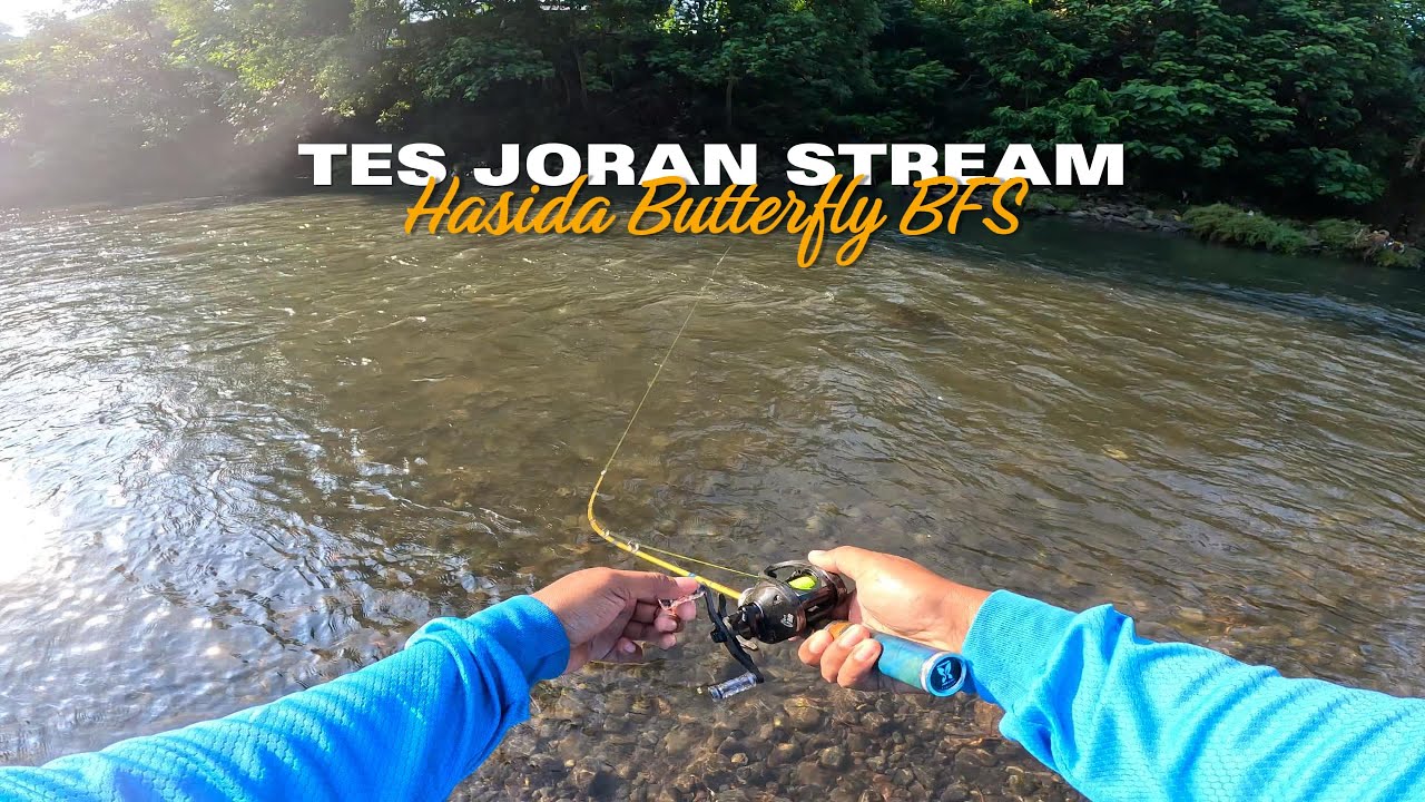 TES JORAN HASIDA BUTTERFLY BFS PRO UNTUK CASTING IKAN HAMPALA
