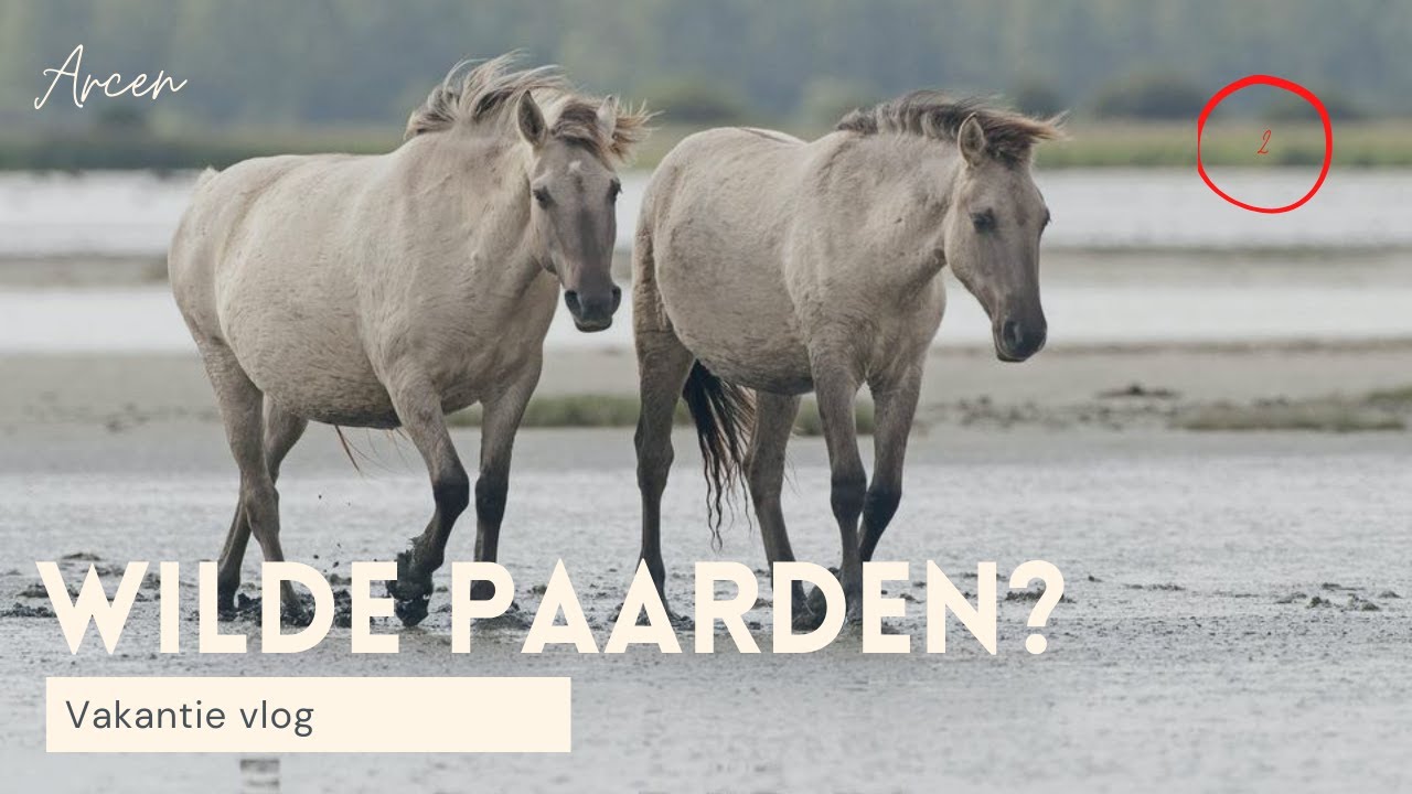 WILDE PAARDEN ? #vakantievlog 2 🐴