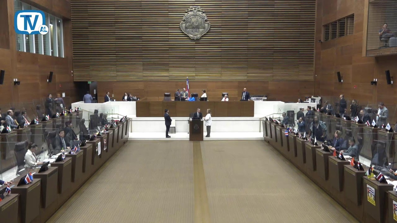 Plenario Legislativo, Sesión extraordinaria #81, 19 Marzo 2026