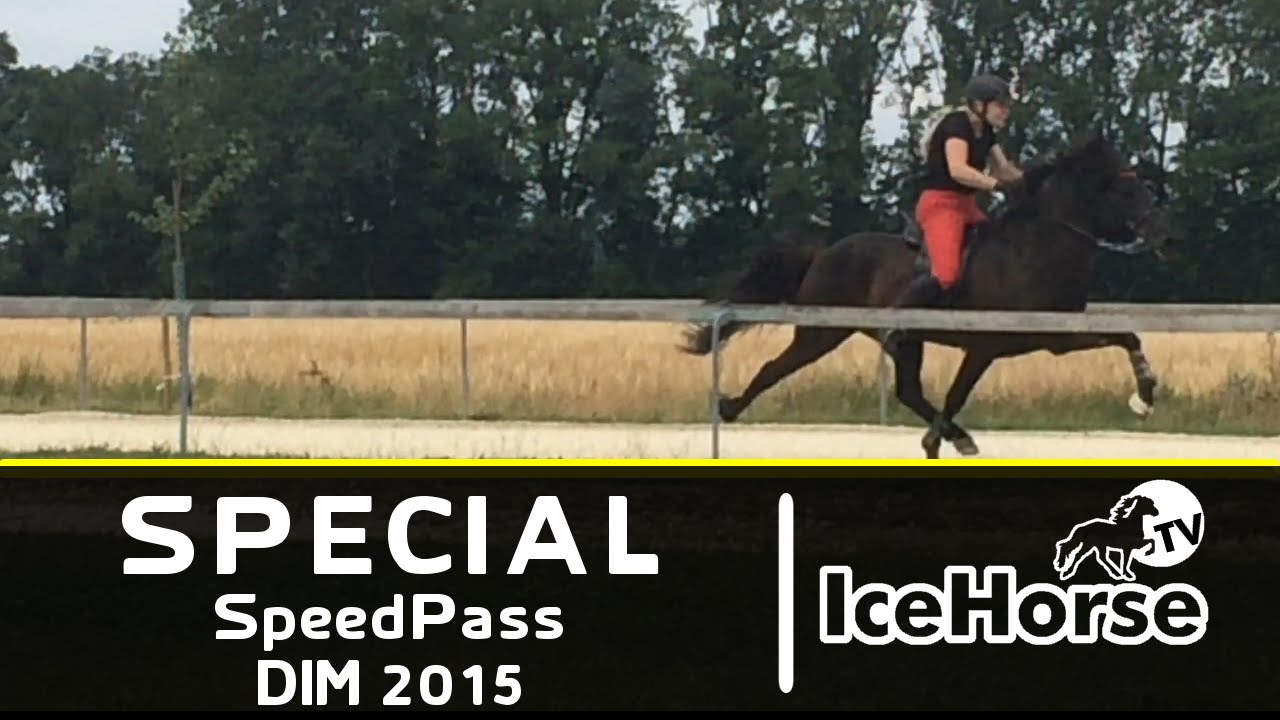IceHorse.TV @ DIM 2015 Speedpass