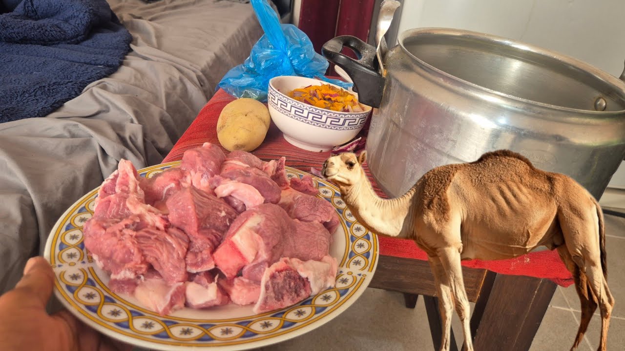 Saudi Mein 21 Va Din  Aaj Camel Ka gosht Banaya  Daily Vlog 