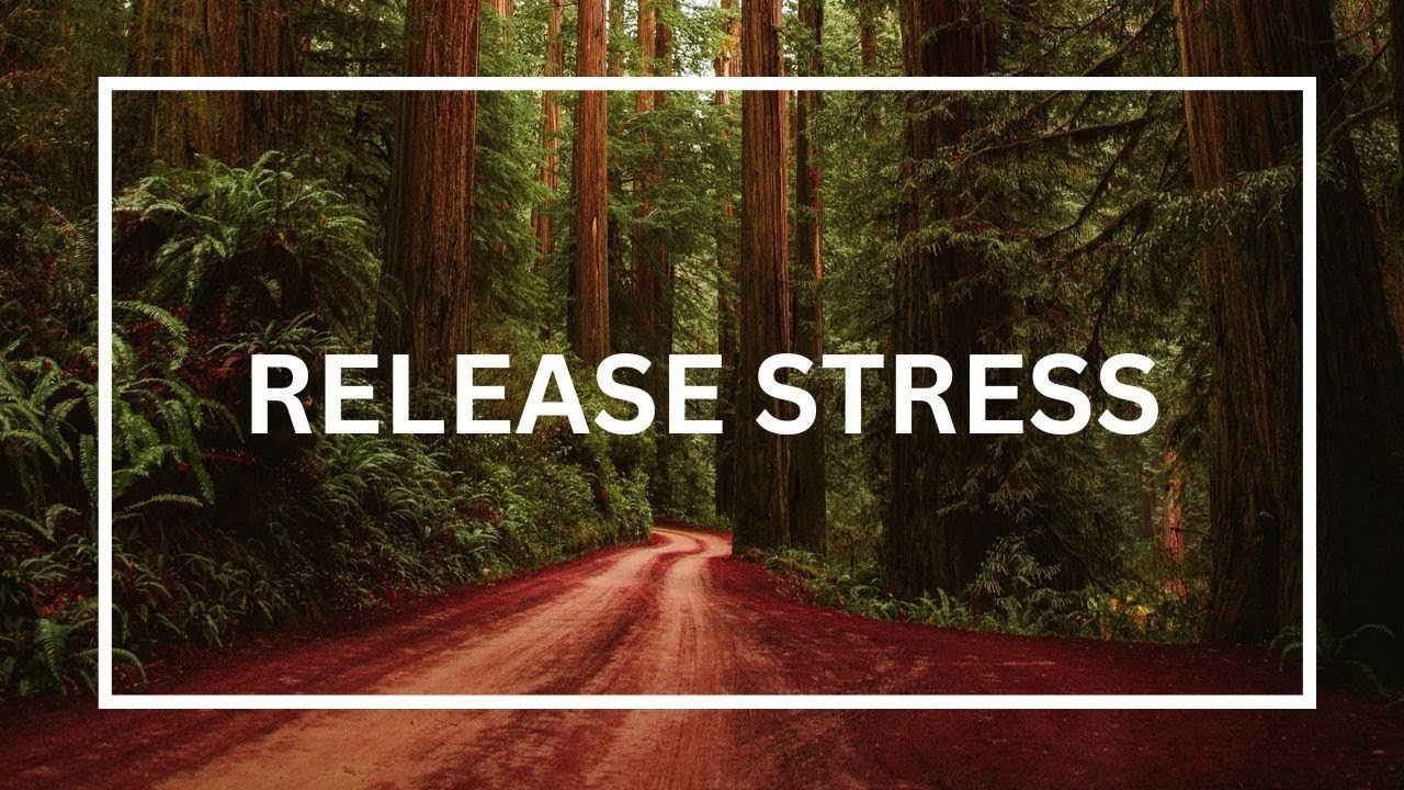 Gentle Calm Meditation Music for Peaceful Relaxation #Meditation | Christian Daily Quotes