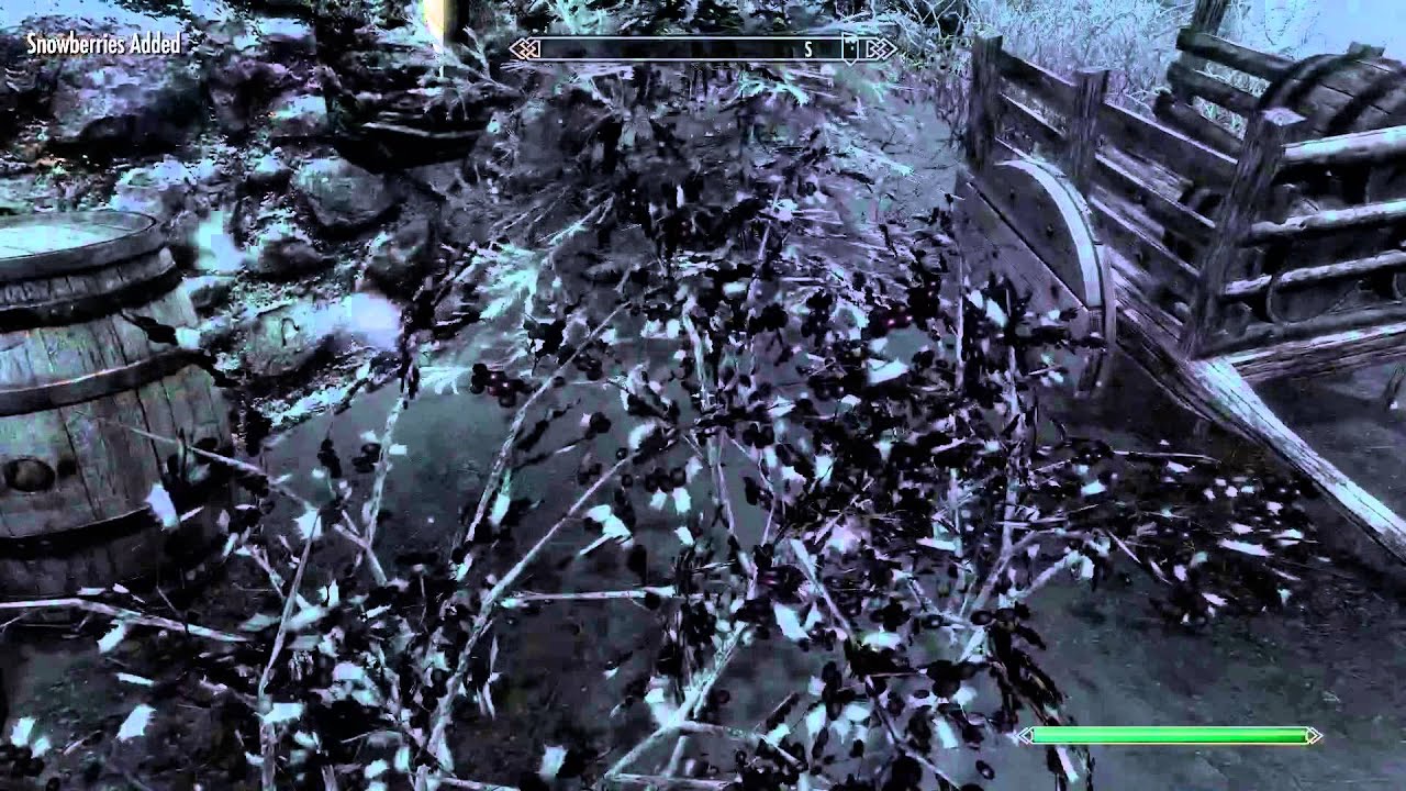 Where to find Snowberries - Skyrim