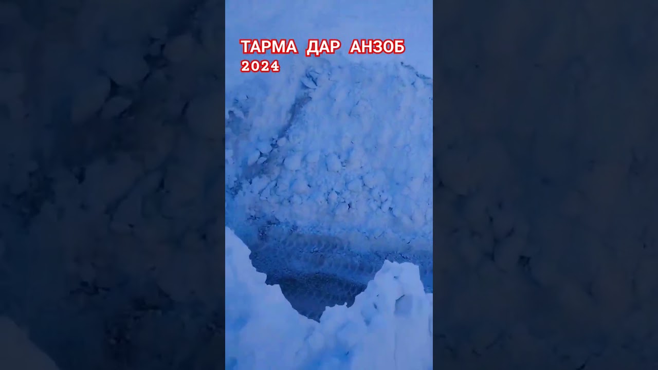ТОЗА КАРДАНИ ТАРМА ДАР АНЗОБ.РОХИ ДУШАНБЕ ХУЧАНД 03.2024 #tajikistan #تاجیکستان #mountains #anzob