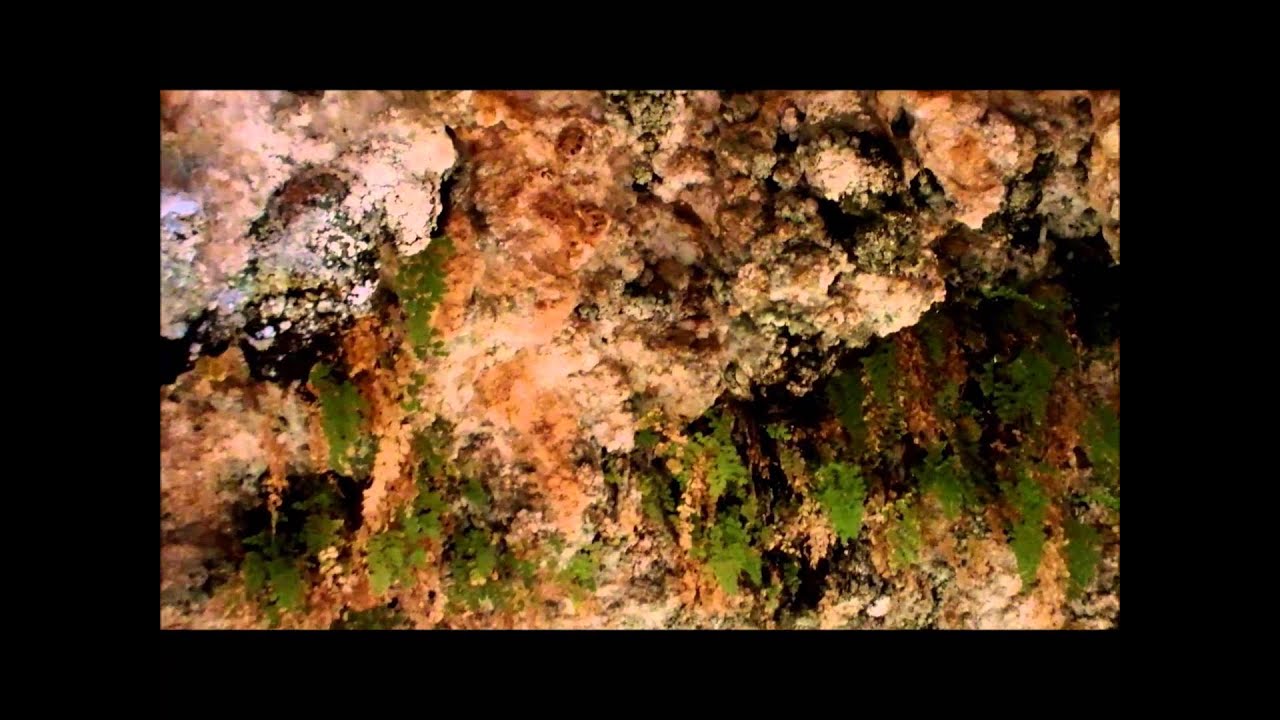 Terjit oasis, Adrar, Mauritania