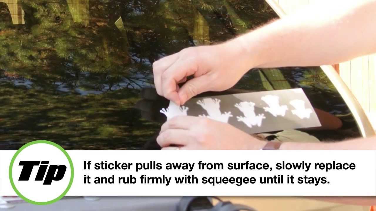 How To Install Frog Family Stickers