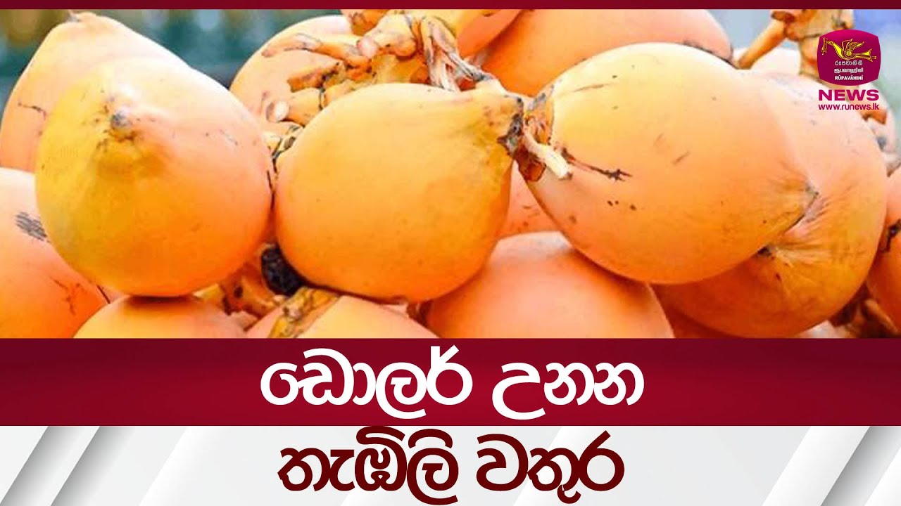 ඩොලර් උනන තැඹිලි වතුර - Coconut Water | Rupavahini News