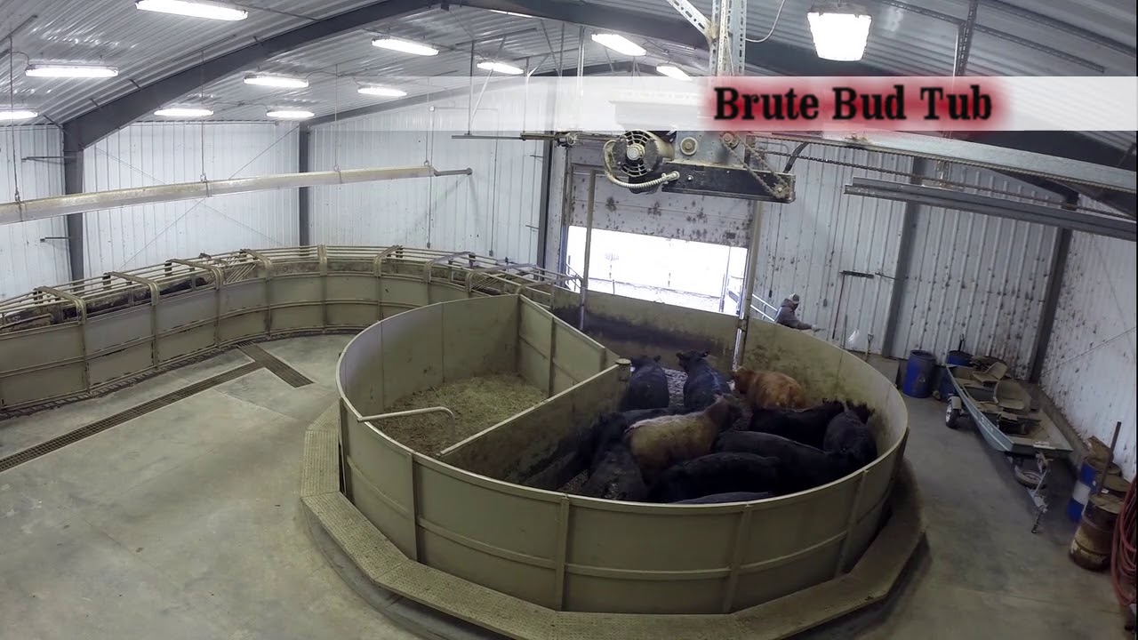 Brute Bud Tub