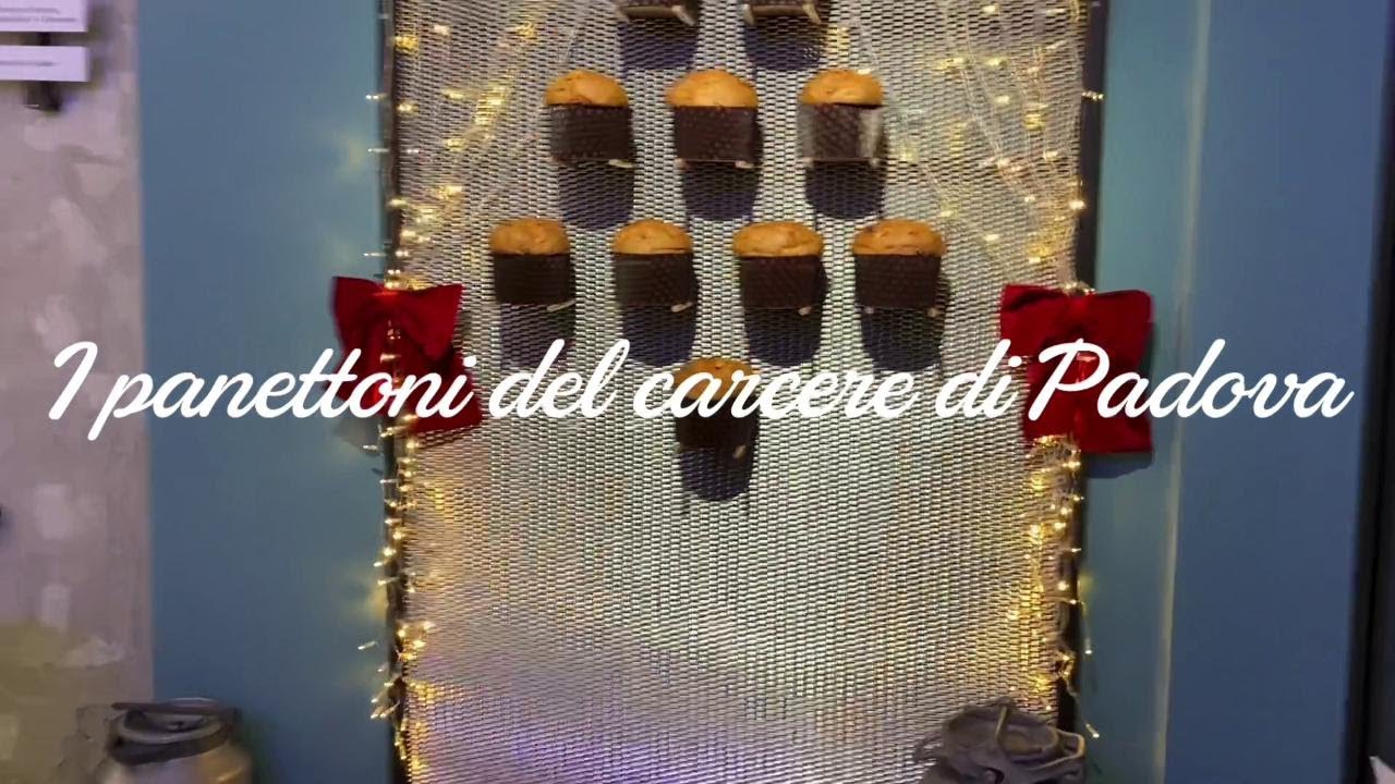Padova, i panettoni del carcere Due Palazzi