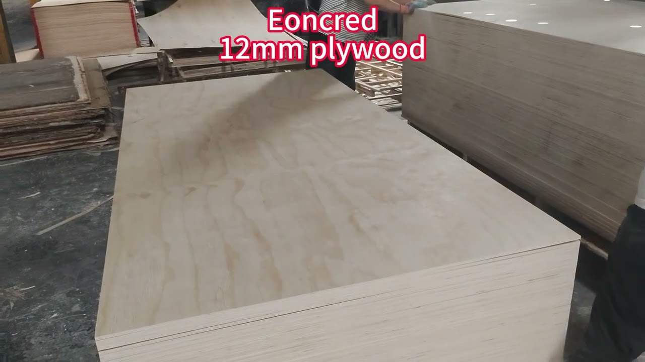 Built to Bear &ndash; 12mm Plywood&rsquo;s Robust Thickness for Demanding Jobs.- Factory Manufacturer