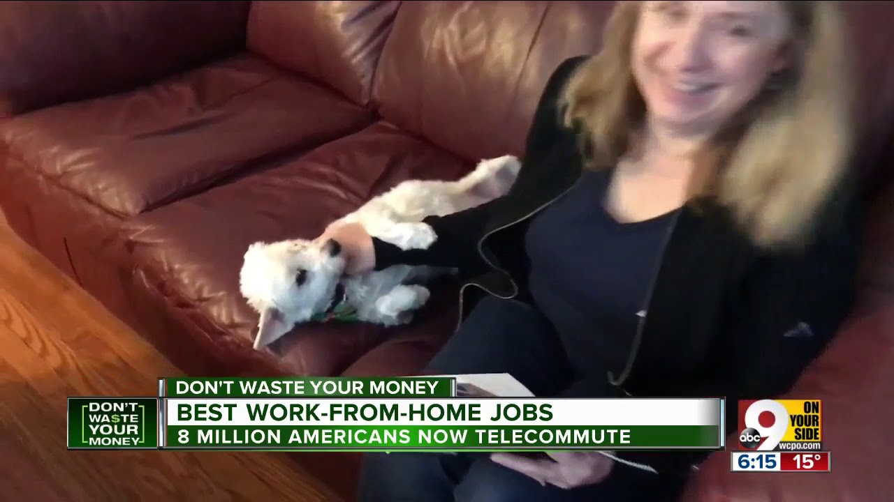 The best work-from-home jobs of 2019