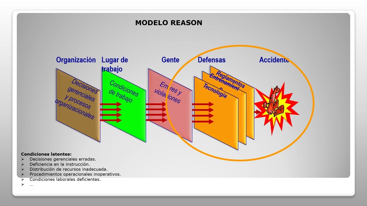 MODELO REASON