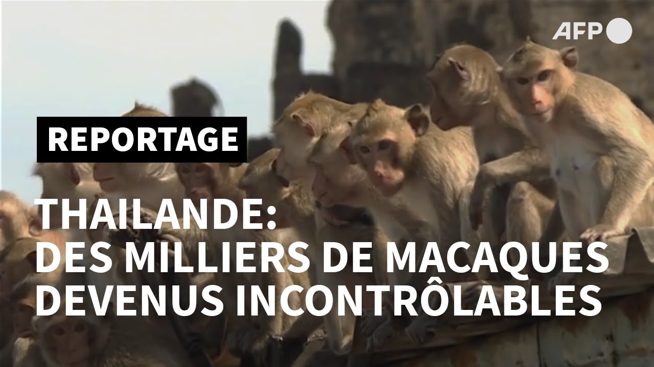 En Thaïlande, 