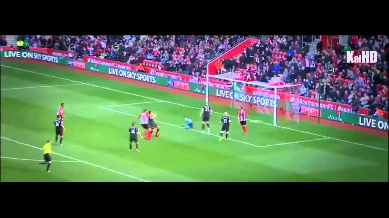 Morgan Schneiderlin | Defending Skills, Passes, Goals | 2014 / 2015
