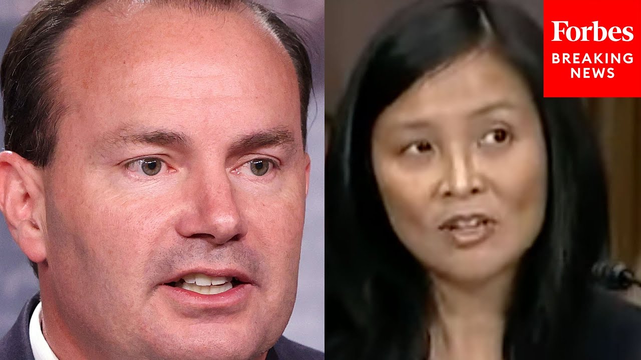 'Would Those Be Defamatory?': Mike Lee Grills Jennifer Sung On Controversial Kavanaugh Letter