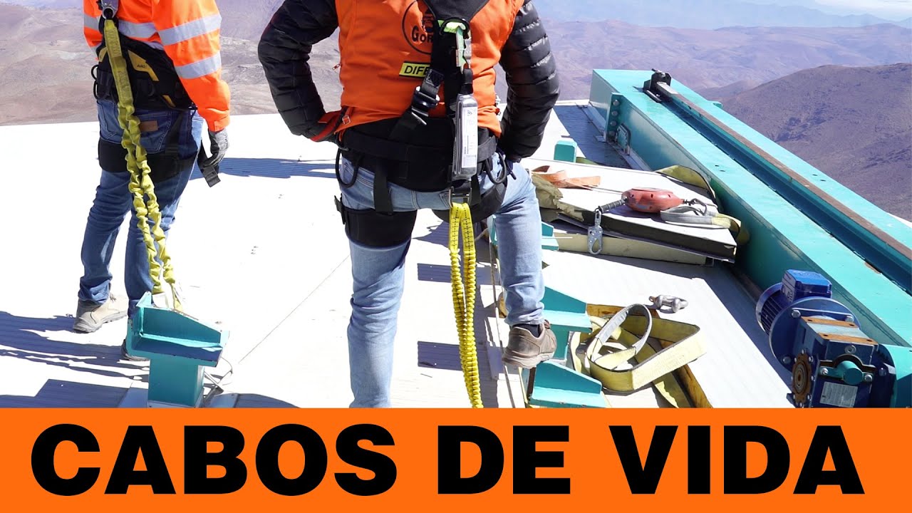 Cabos de vida - GORILA