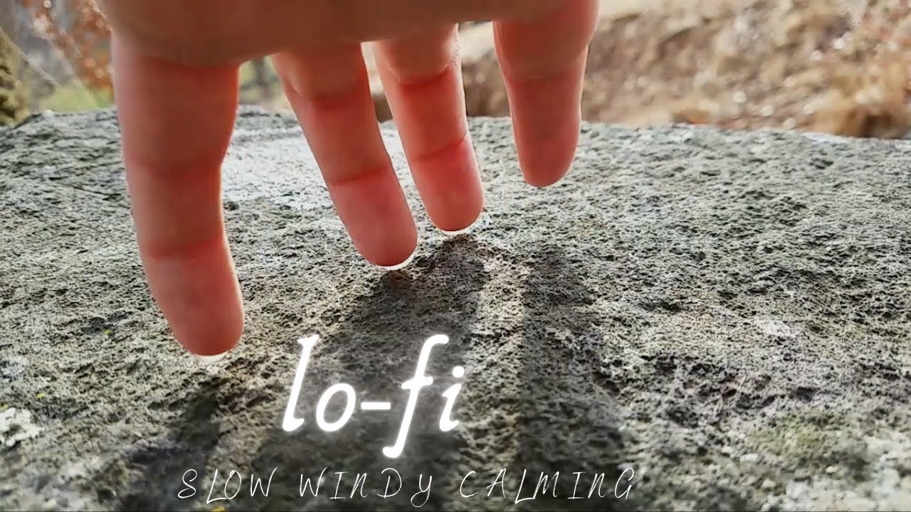 lo-fi nature ASMR 💤 | Slow - Windy - Calming.. Tree Kisses, Sky Tracing, Rock Scratching, Crunch Ect