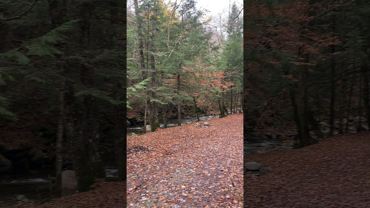 Video of Green Mountain National Forest FR207, VT from Amanda