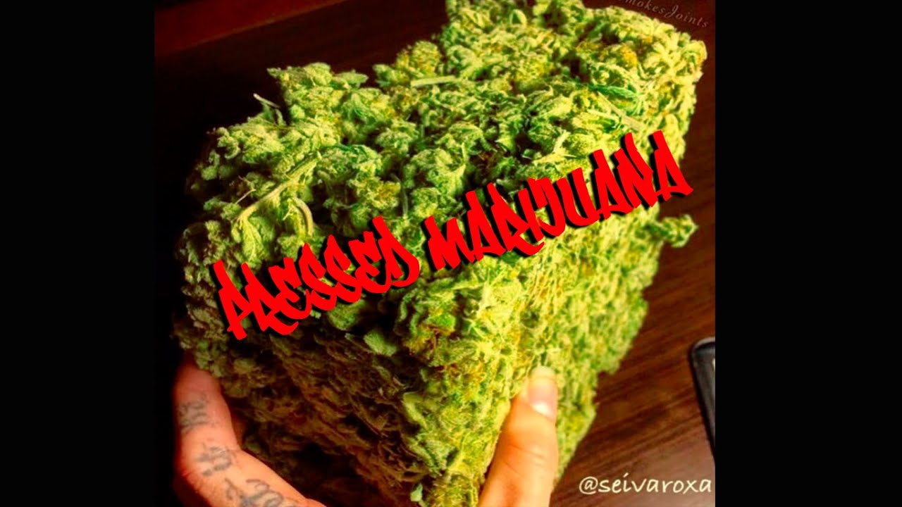 SKUNK PRENSADO